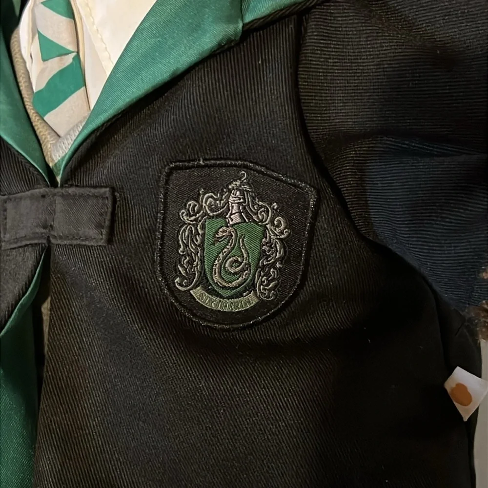 Build-A-Bear Harry Potter Bear Slytherin - Picture 4 of 9